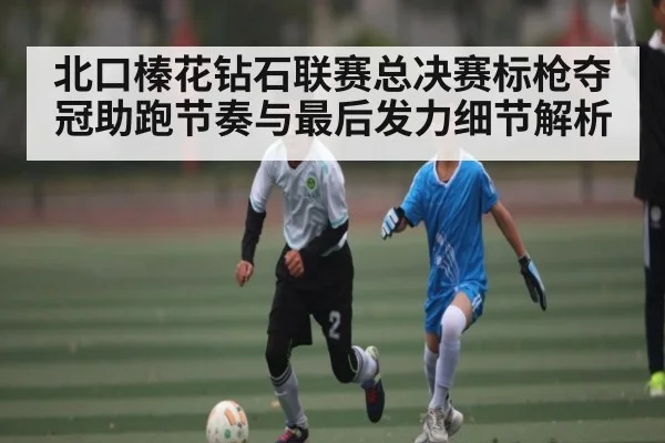 北口榛花钻石联赛总决赛标枪夺冠助跑节奏与最后发力细节解析